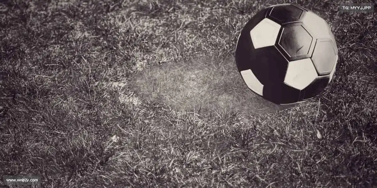 <strong>milan米兰</strong>🚣‍♀️逆流而上，用汗水书写青春传奇！